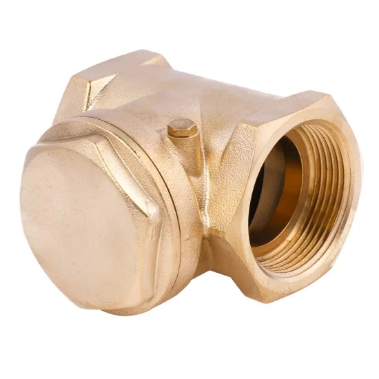 1/2 Inch Bsp NPT Quality China Supplier Brass Spring Check Valve