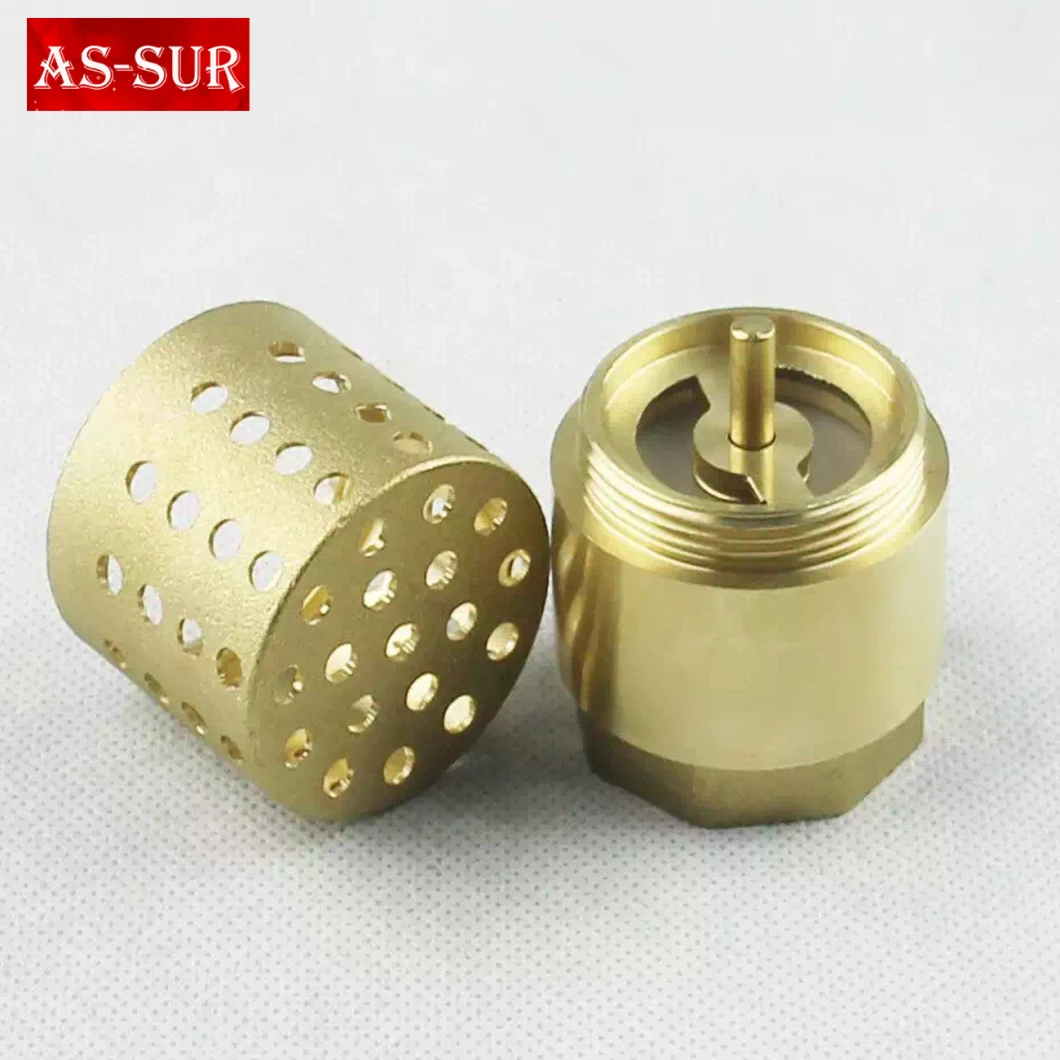 Spring Non Return Swing Valve Vertical Brass Check Valve