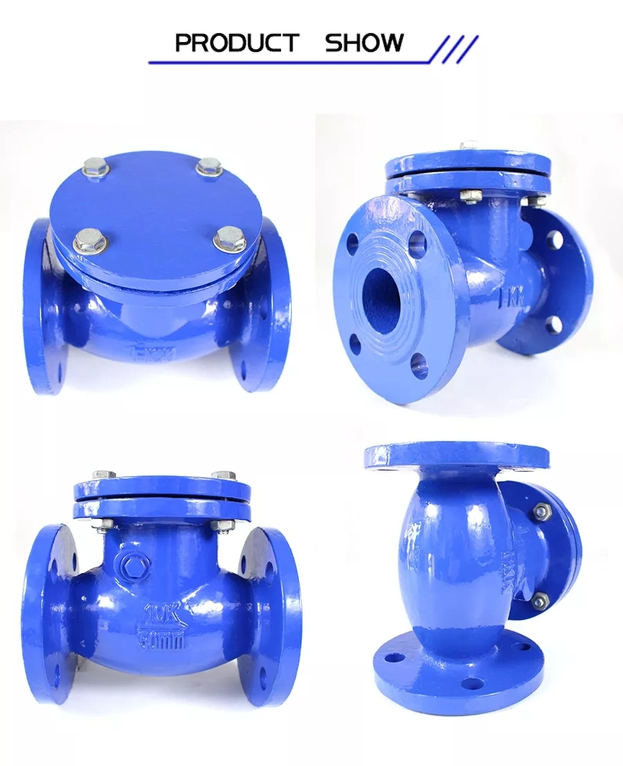 High Quality Water Reducing Non Return Vertical Brass Spring Swing Check Valve