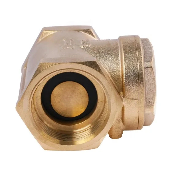 1/2 Inch Bsp NPT Quality China Supplier Brass Spring Check Valve