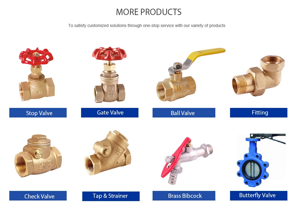 DIN259 Thread 2" Brass Spring Check Valves Female X Female