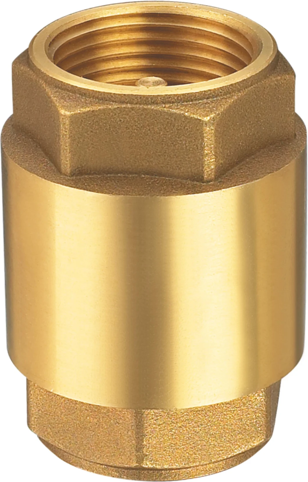 Brass Spring-Loaded Check Valve