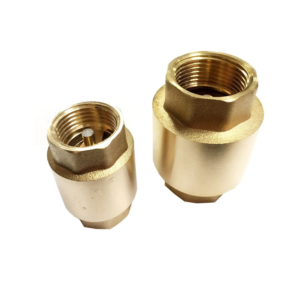 Brass Non Return Vertical Spring Check Valve with Brass Core