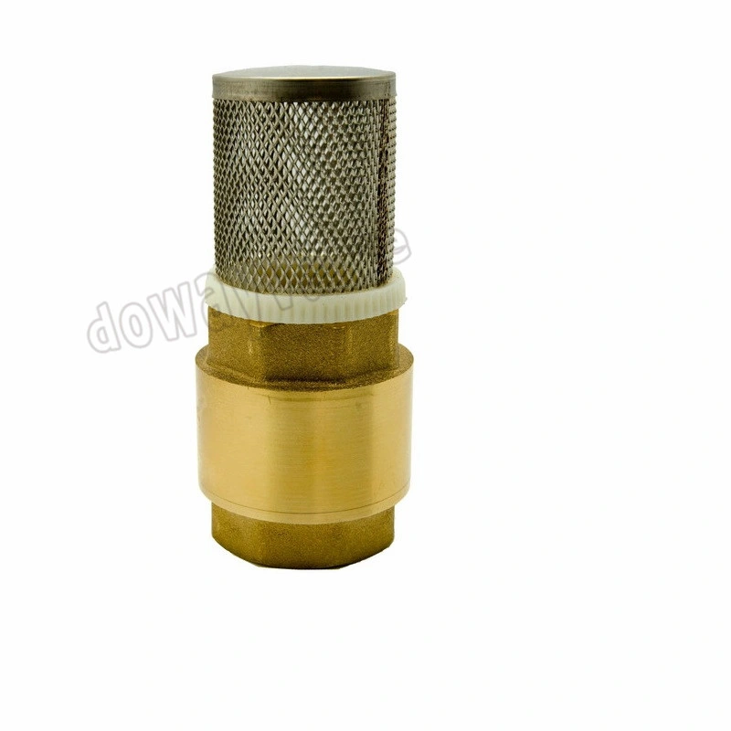 OEM/ODM Factory Forged Brass Non Return Spring Check Valve Inline Plasted in Polymer